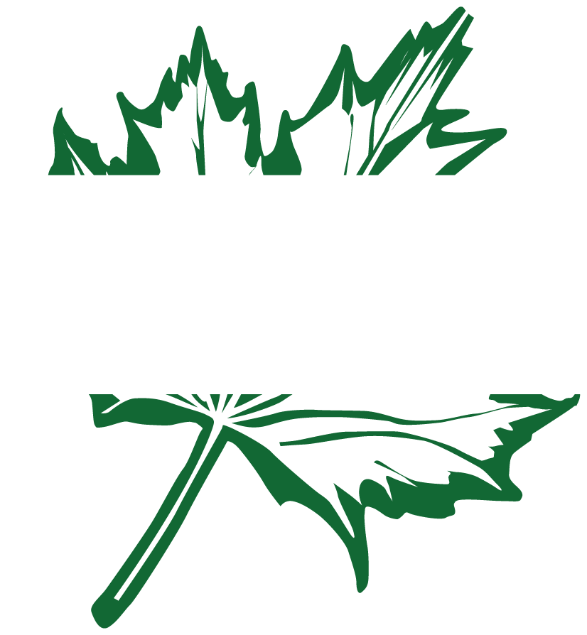 Silver Maple Renovations Inc. — Renovate your space. Elevate your life.